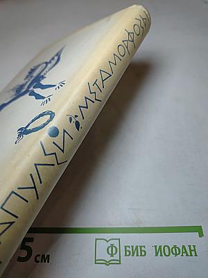 Метаморфозы, или Золотой осёл. Другие сочинения