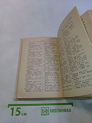 Карманный русско-китайский словарь