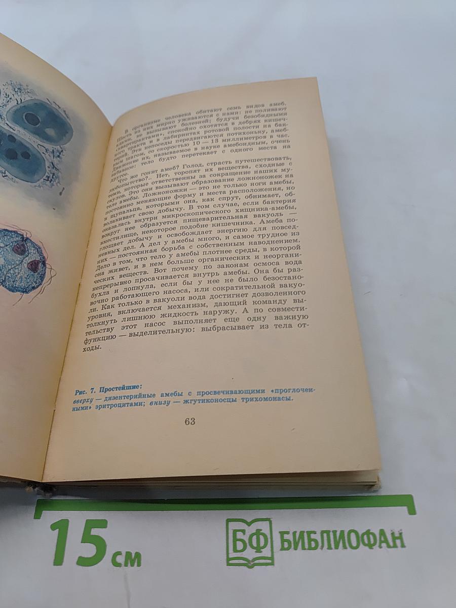 Живые организмы – спутники человека. Книга для внеклассного чтения VI–VII классы
