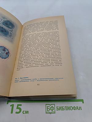 Живые организмы – спутники человека. Книга для внеклассного чтения VI–VII классы