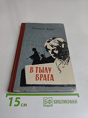 В тылу врага