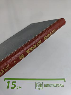 В тылу врага