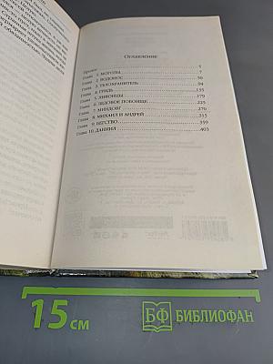 Фельдъегерь. Книга четвертая. Сотник