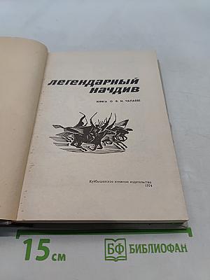 Легендарный начдив