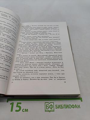 Легендарный начдив