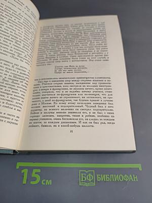Полное собрание сочинений. Том XIII. Художественные произведения, критика, дневники, словарь