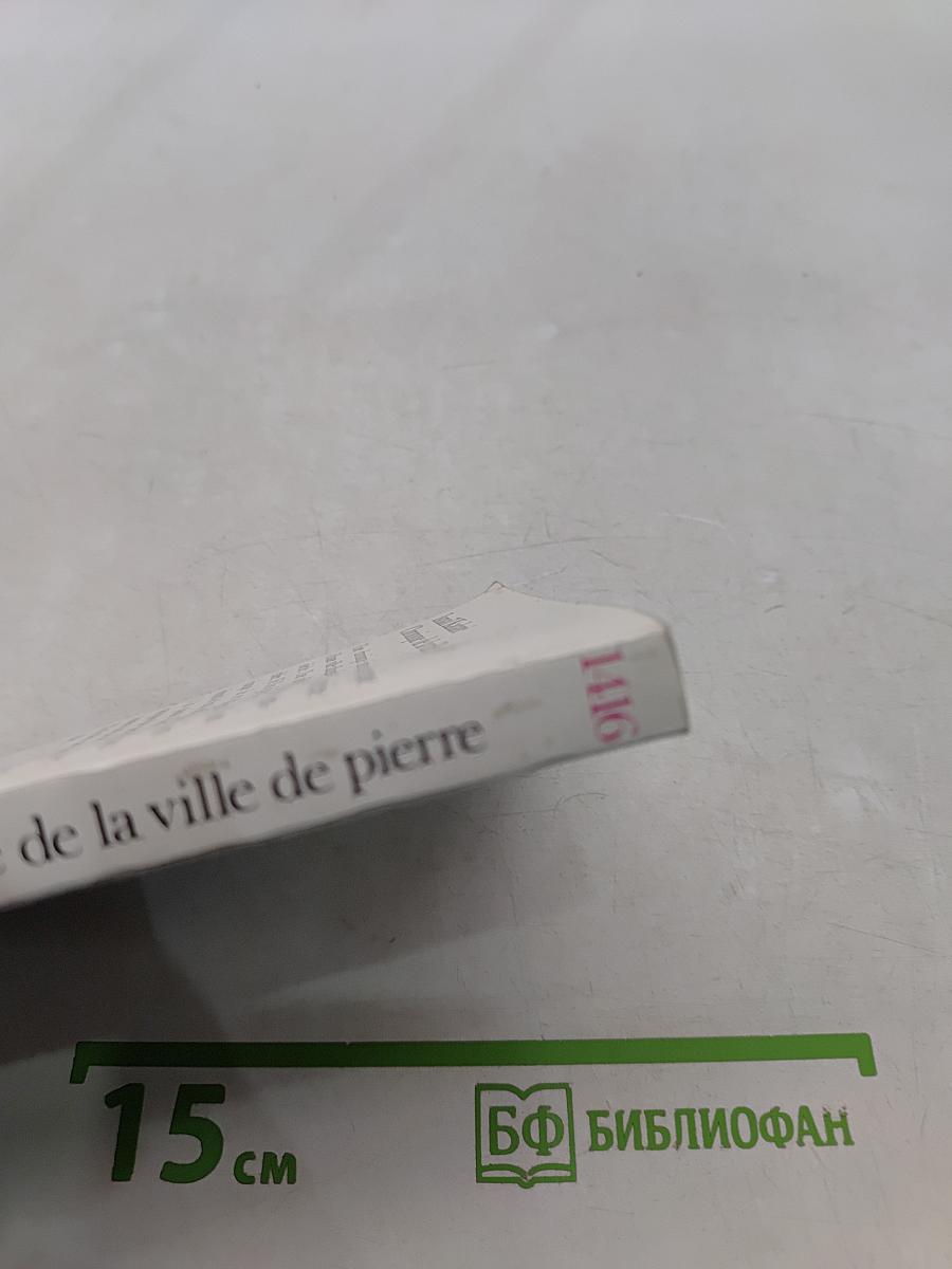 Chronique de la ville de pierre