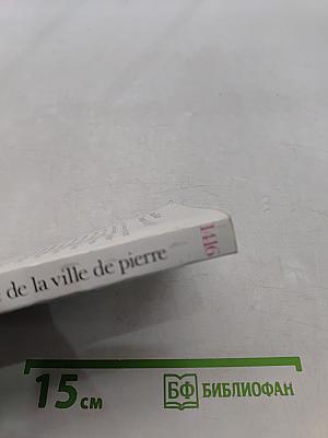 Chronique de la ville de pierre