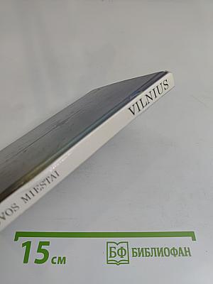Vilnius