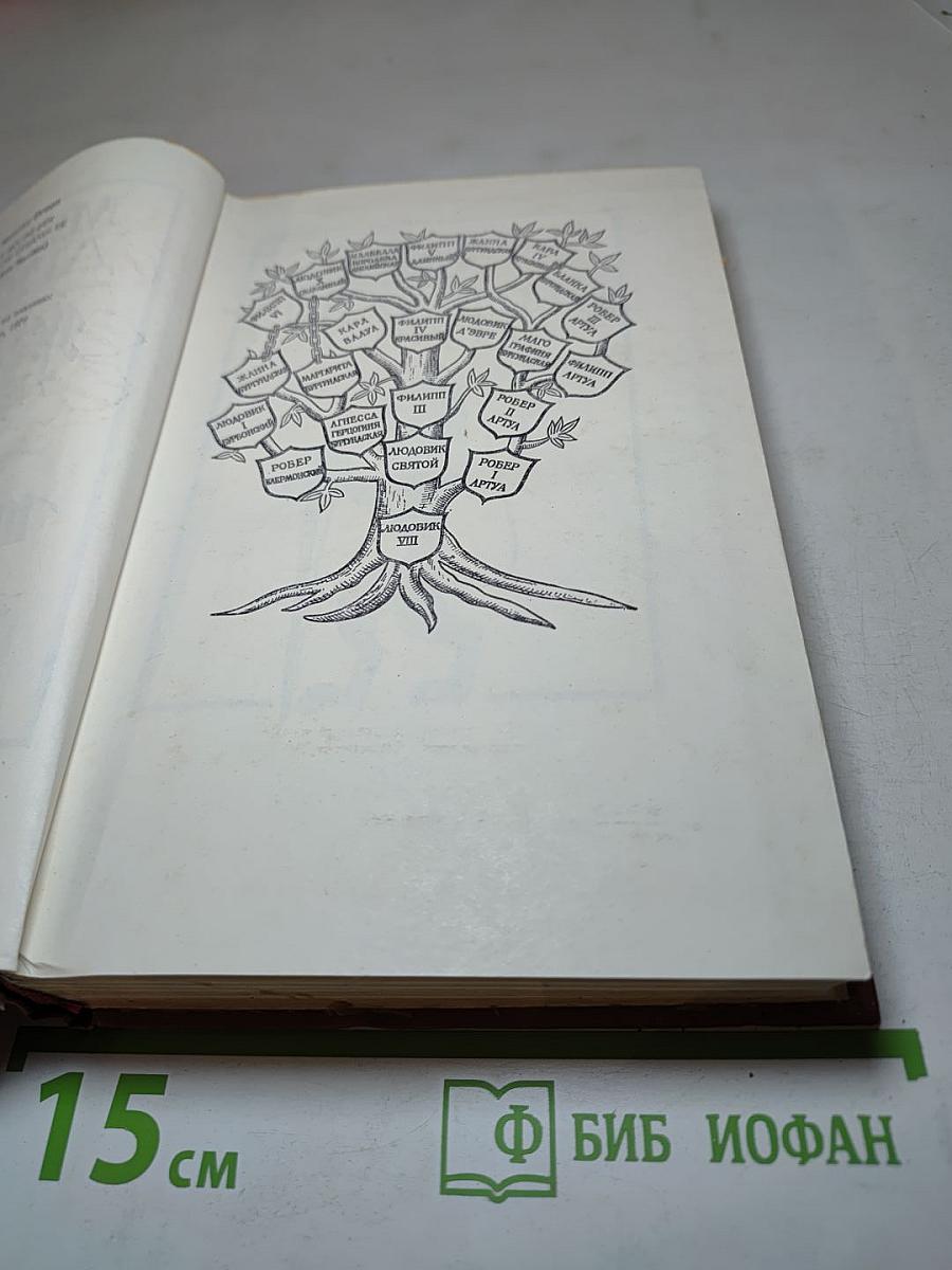 Железный король. Узница Шато-Гайара