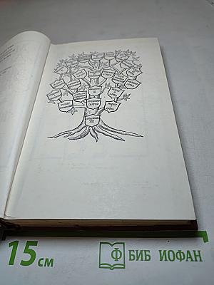 Железный король. Узница Шато-Гайара