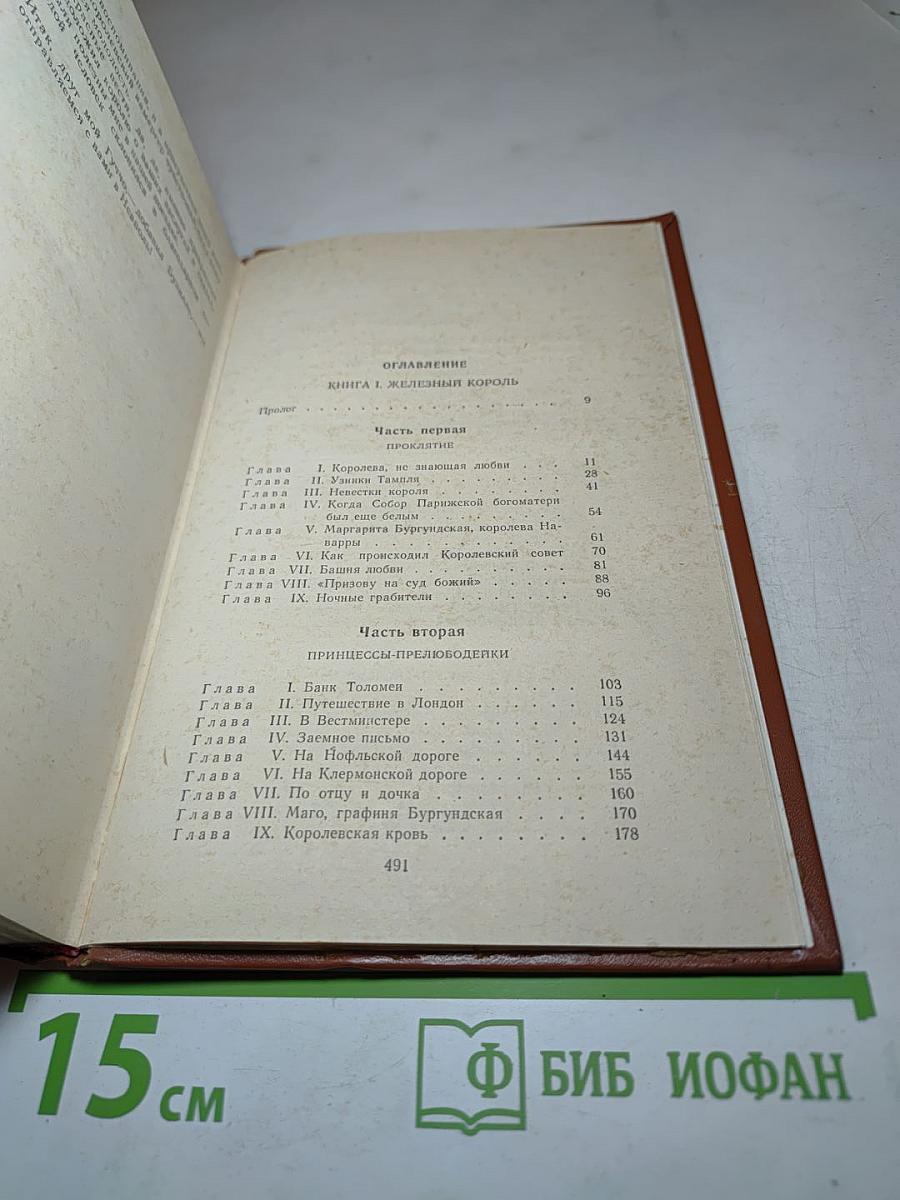 Железный король. Узница Шато-Гайара