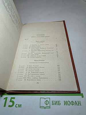 Железный король. Узница Шато-Гайара