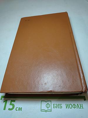 Железный король. Узница Шато-Гайара