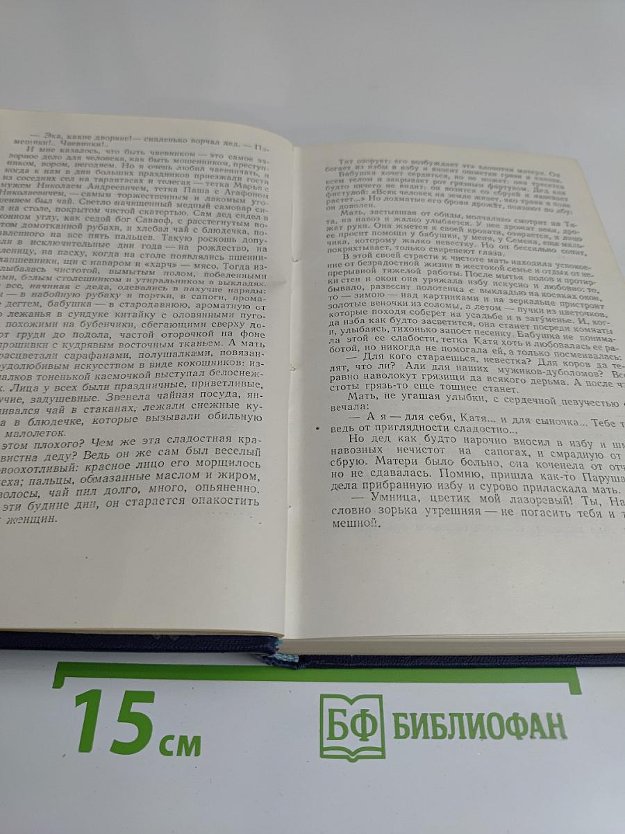 Повесть о детстве. Том четвертый
