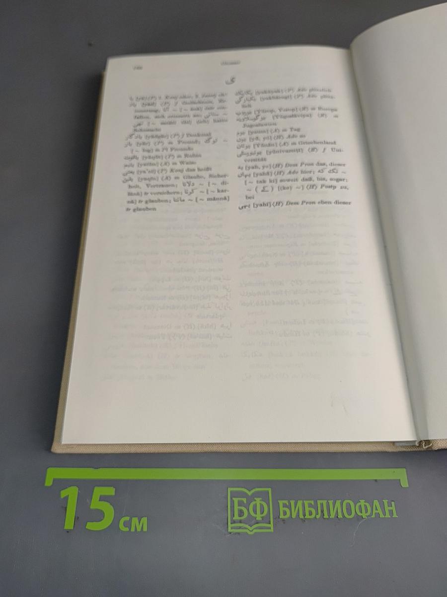 Chrestomathie der Urdu-Prosa des 19. und 20. Jahrhunderts