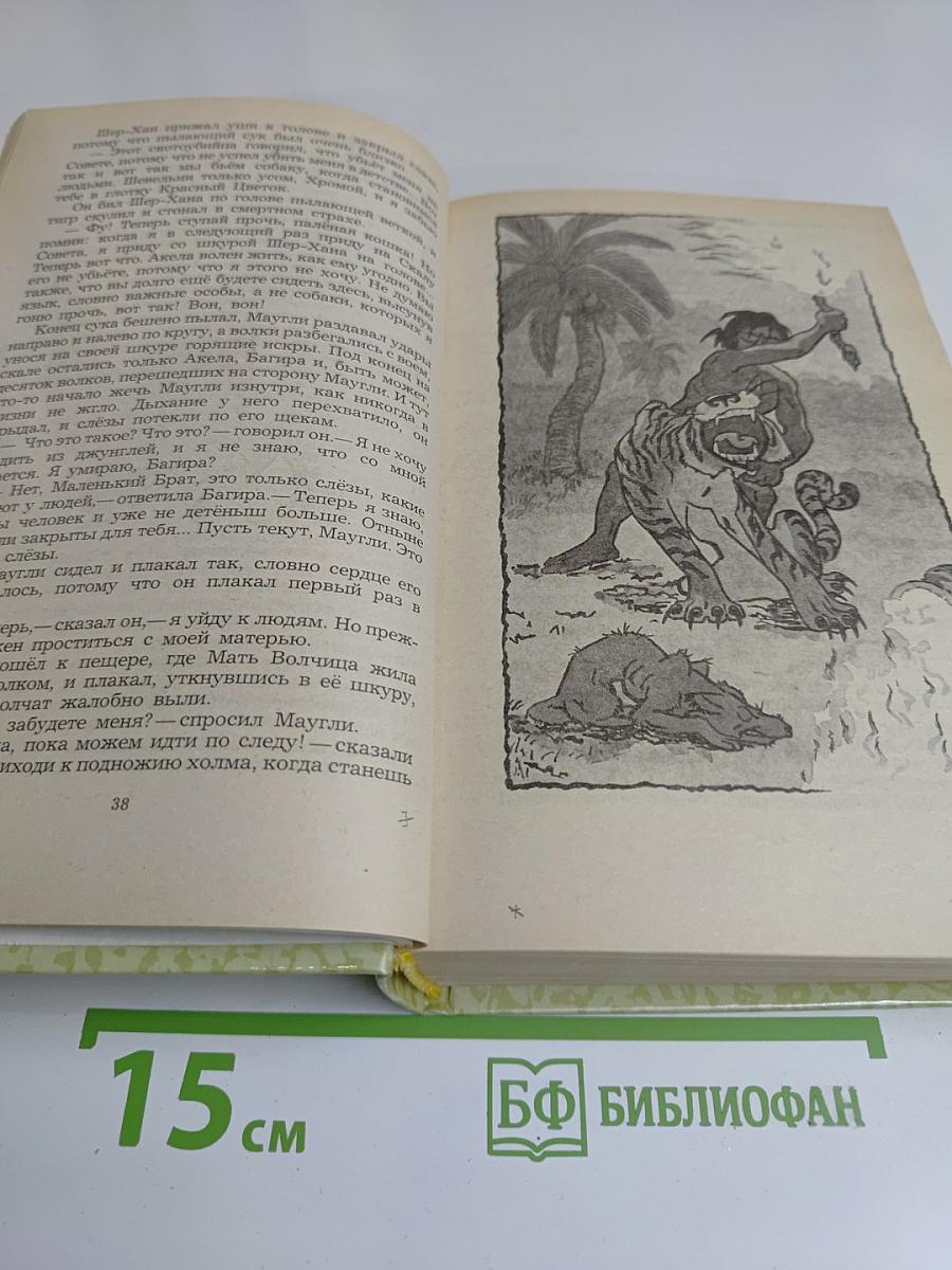 Маугли. Малыш и Карлсон. Винни-Пух и все-все-все