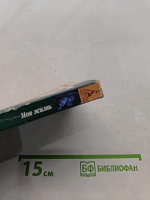Моя жизнь