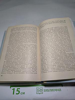 Годы сомнений и страстей. История четырех братьев