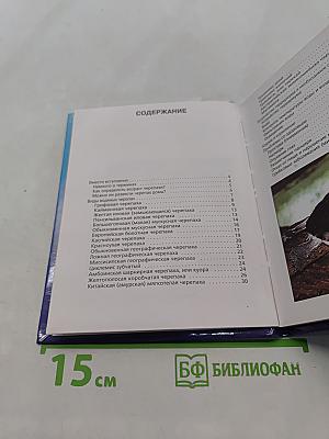 Аквариумные черепахи