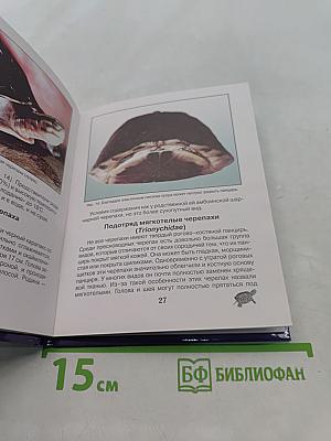 Аквариумные черепахи