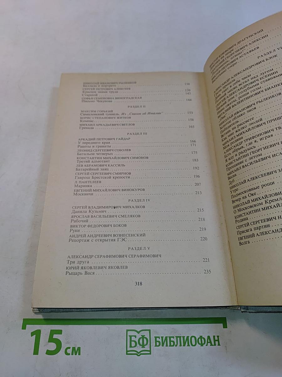 В мире русской литературы. Книга для внеклассного чтения. 5 класс