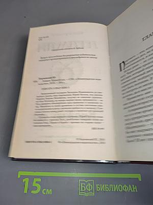 Атаман. Княжий суд
