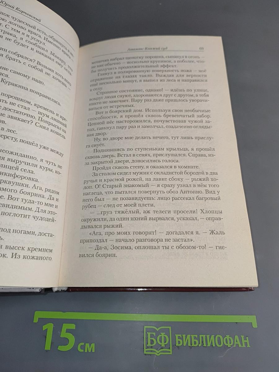 Атаман. Княжий суд