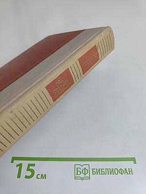 Под солнцем свободы