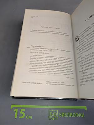 Атаман. Княжья служба