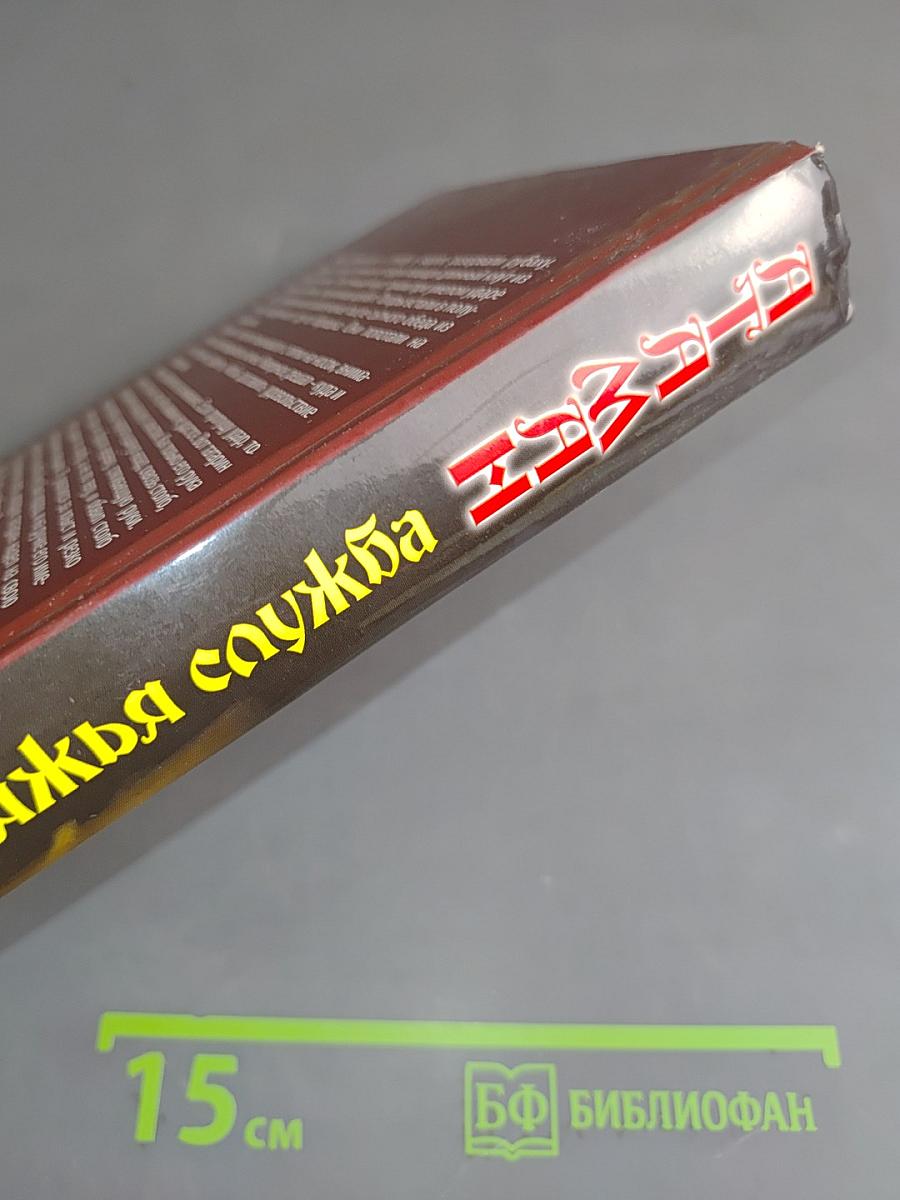 Атаман. Княжья служба