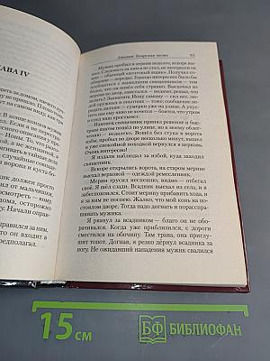 Атаман. Боярская честь