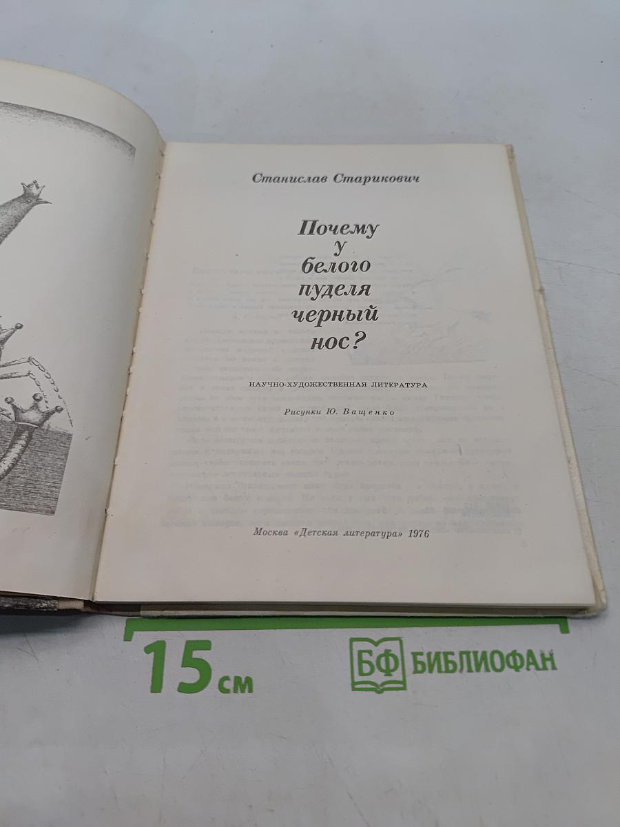 Почему у белого пуделя черный нос?