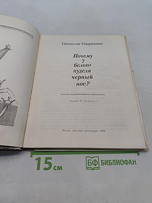 Почему у белого пуделя черный нос?