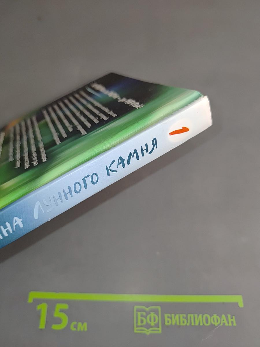 Путешествие Белого Лиса. Тайна Лунного Камня