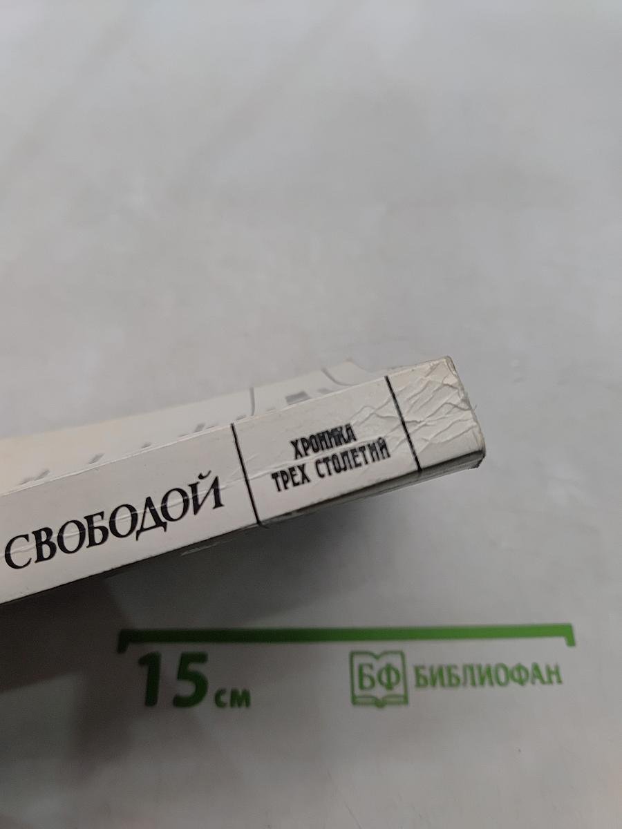 Меж рабством и свободой. 19 января - 25 февраля 1730 года
