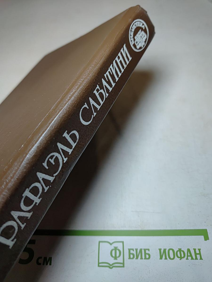 Собрание сочинений в десяти томах. Том 4: Меч Ислама. Псы Господни