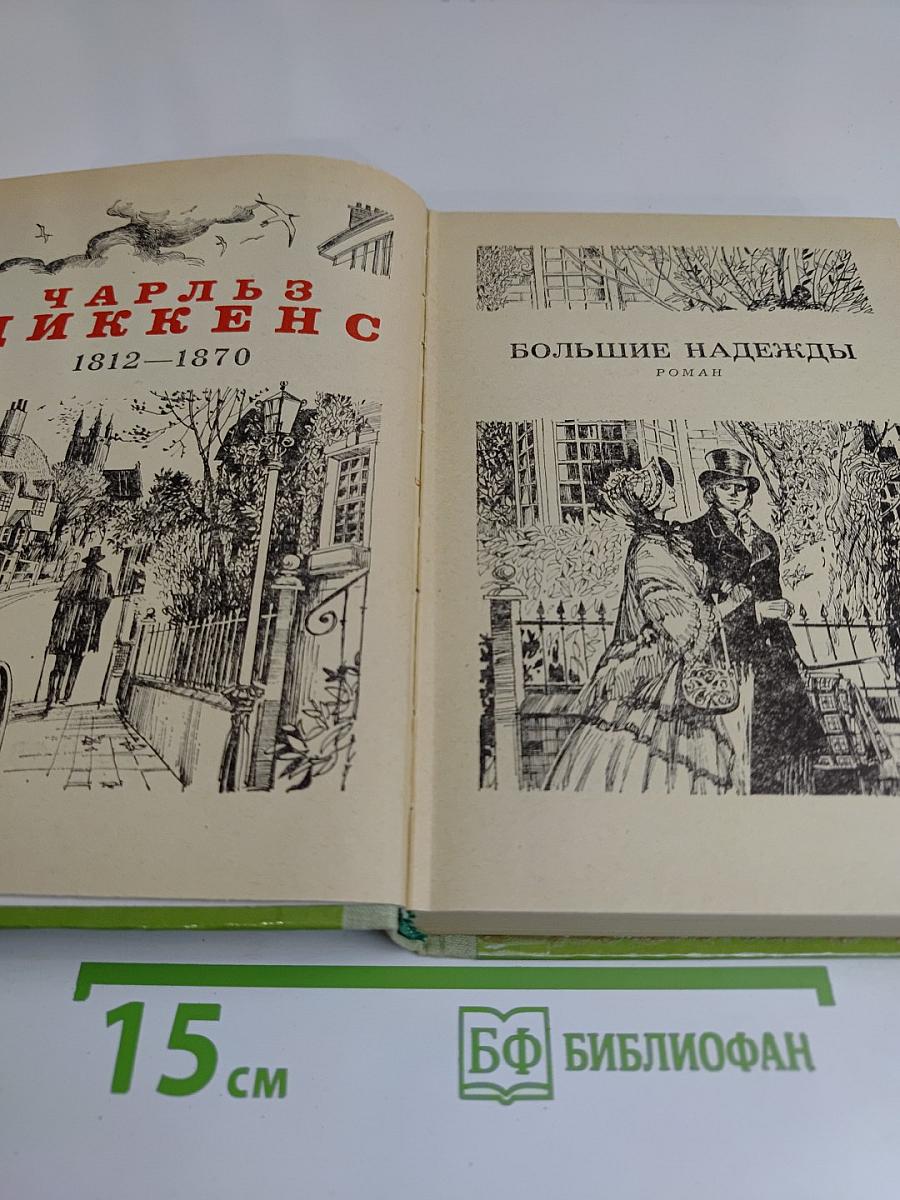 Большие надежды