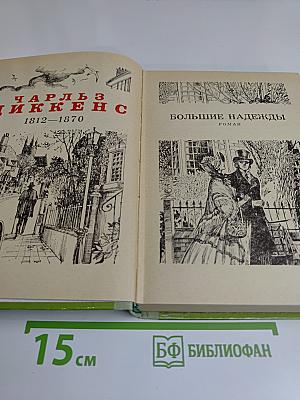 Большие надежды