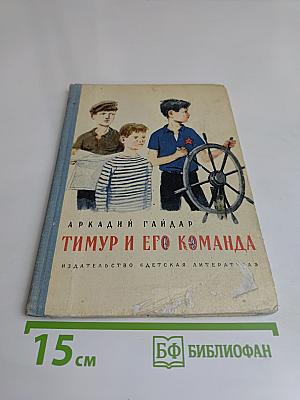 Тимур и его команда