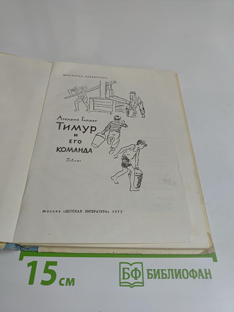 Тимур и его команда