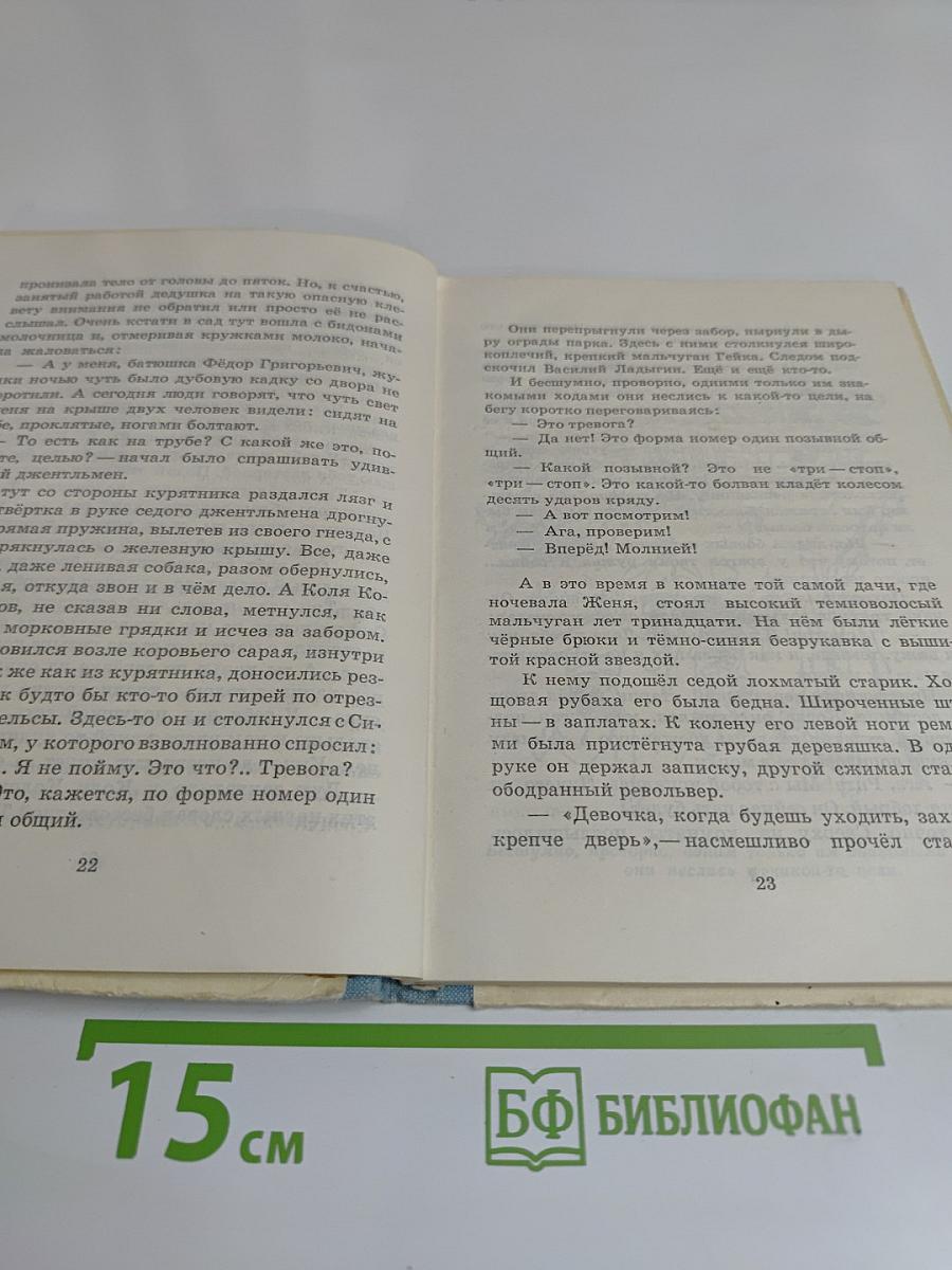 Тимур и его команда