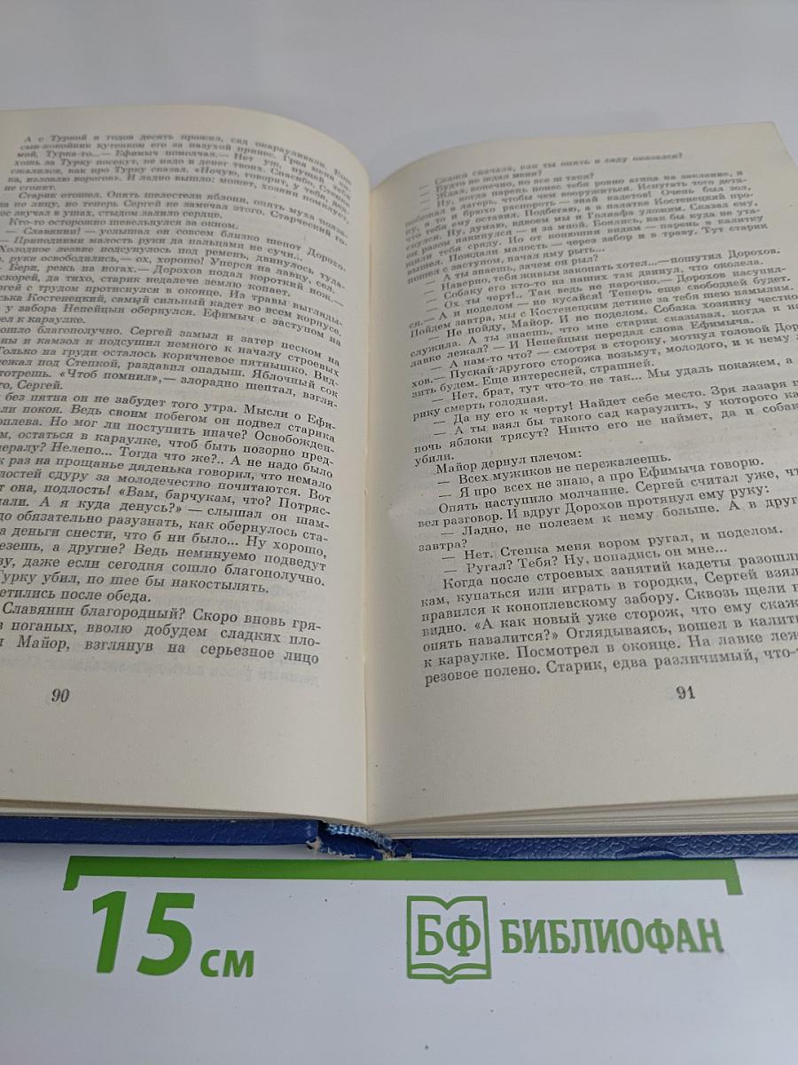 Повесть о Сергее Непейцыне