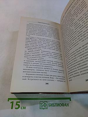 Разведчик. Заброшенный в 43-й