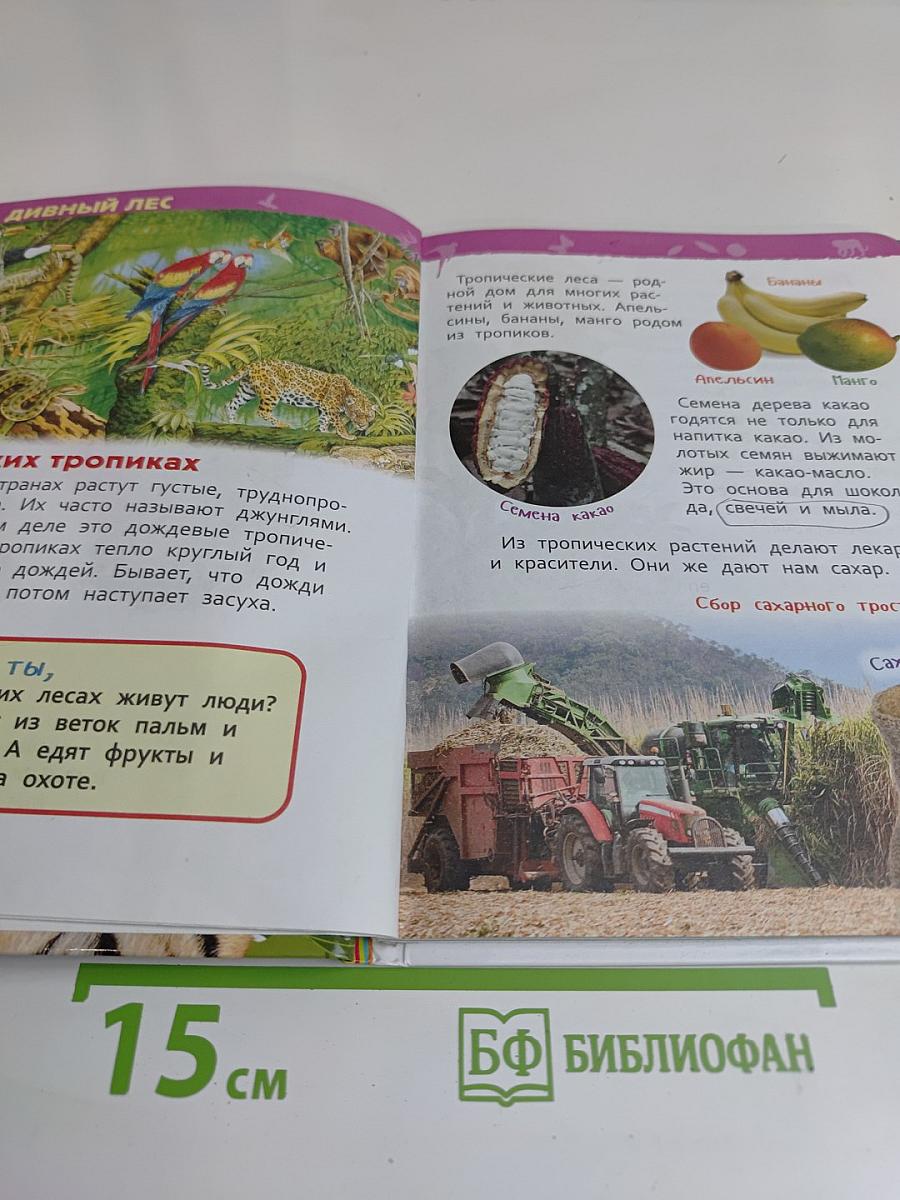 Джунгли. Энциклопедия для детского сада