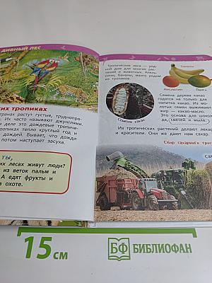 Джунгли. Энциклопедия для детского сада