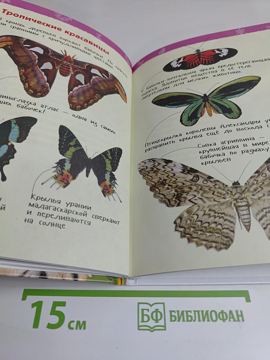 Джунгли. Энциклопедия для детского сада