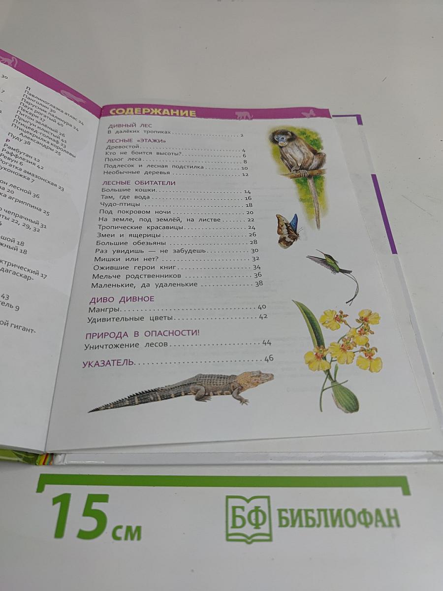 Джунгли. Энциклопедия для детского сада