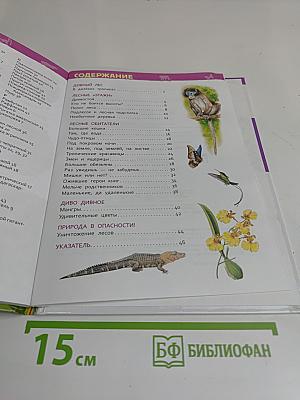Джунгли. Энциклопедия для детского сада