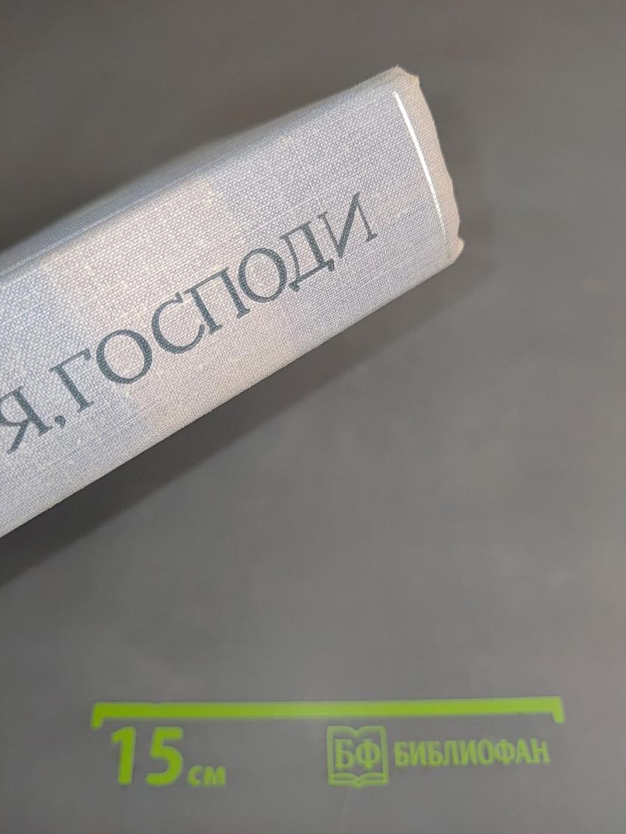 Это я, Господи. Автобиография